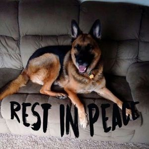 Meet your Posher, Bruce